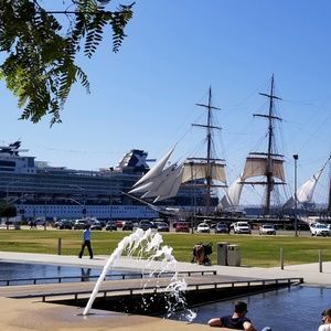 Meet your Posher, Pedro